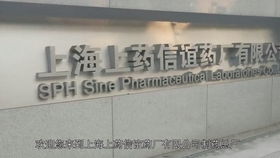 筑安全基石，展綠色宏圖 葛洲壩宜城水泥廠多維品牌形象建設
